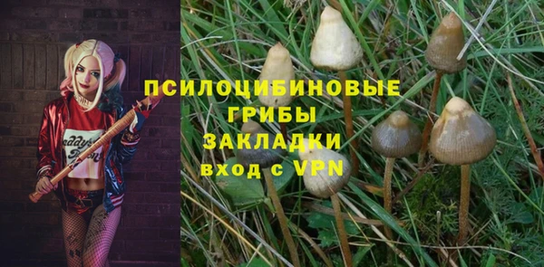 PSILOCYBIN Балахна