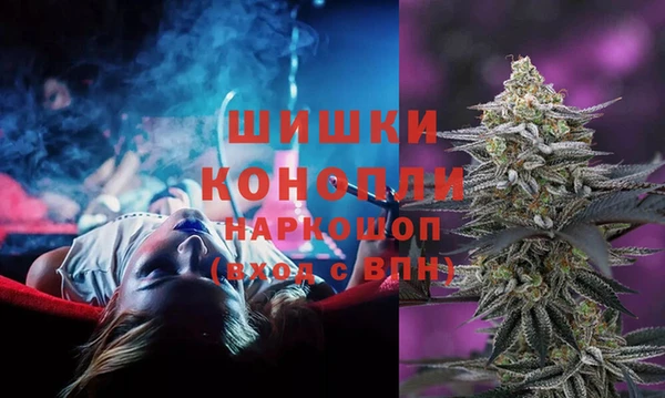 PSILOCYBIN Балахна