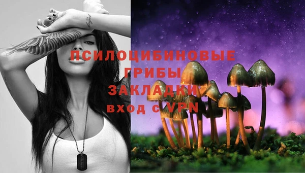 PSILOCYBIN Балахна