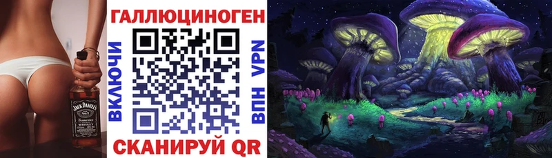 Псилоцибиновые грибы GOLDEN TEACHER  купить наркотик  Ленинск-Кузнецкий 